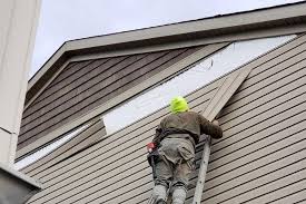 ### Historical Building Siding Restoration